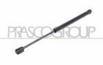 PRASCO Amortizor portbagaj PRASCO HN8029065 (HN8029065) - fixbox