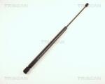 TRISCAN Amortizor portbagaj TRISCAN 8710 42202 (8710 42202) - fixbox