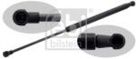 Febi Bilstein Amortizor portbagaj FEBI BILSTEIN 36219 (36219) - fixbox