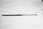 TRISCAN Amortizor portbagaj TRISCAN 8710 15234 (8710 15234) - fixbox