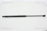 TRISCAN Amortizor portbagaj TRISCAN 8710 14246 (8710 14246) - fixbox