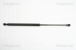 TRISCAN Amortizor portbagaj TRISCAN 8710 25234 (8710 25234) - fixbox