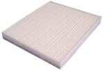 MTR Filtru aer habitaclu / polen MTR 12138543 (12138543)