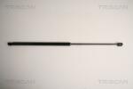 TRISCAN Amortizor portbagaj TRISCAN 8710 16254 (8710 16254) - fixbox