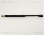 TRISCAN Amortizor portbagaj TRISCAN 8710 29219 (8710 29219) - fixbox