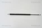 TRISCAN Amortizor portbagaj TRISCAN 8710 16242 (8710 16242) - fixbox