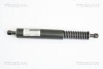 TRISCAN Amortizor portbagaj TRISCAN 8710 29264 (8710 29264) - fixbox