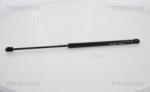 TRISCAN Amortizor portbagaj TRISCAN 8710 38227 (8710 38227) - fixbox