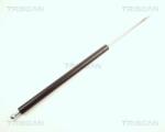 TRISCAN Amortizor portbagaj TRISCAN 8710 25208 (8710 25208) - fixbox