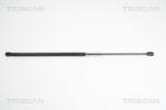 TRISCAN Amortizor portbagaj TRISCAN 8710 16243 (8710 16243) - fixbox