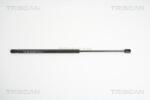 TRISCAN Amortizor portbagaj TRISCAN 8710 11225 (8710 11225) - fixbox