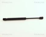 TRISCAN Amortizor portbagaj TRISCAN 8710 29241 (8710 29241) - fixbox