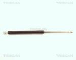 TRISCAN Amortizor portbagaj TRISCAN 8710 27211 (8710 27211) - fixbox