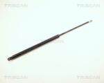 TRISCAN Amortizor portbagaj TRISCAN 8710 2910 (8710 2910) - fixbox