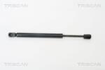 TRISCAN Amortizor portbagaj TRISCAN 8710 29259 (8710 29259) - fixbox