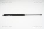 TRISCAN Amortizor portbagaj TRISCAN 8710 25240 (8710 25240) - fixbox