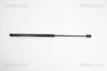 TRISCAN Amortizor portbagaj TRISCAN 8710 18219 (8710 18219) - fixbox