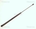 TRISCAN Amortizor portbagaj TRISCAN 8710 28202 (8710 28202) - fixbox