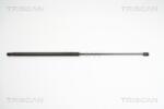 TRISCAN Amortizor portbagaj TRISCAN 8710 18213 (8710 18213) - fixbox