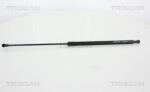 TRISCAN Amortizor portbagaj TRISCAN 8710 28243 (8710 28243) - fixbox