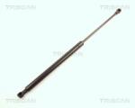 TRISCAN Amortizor portbagaj TRISCAN 8710 28221 (8710 28221) - fixbox