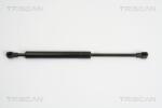 TRISCAN Amortizor portbagaj TRISCAN 8710 27217 (8710 27217) - fixbox