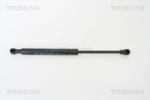 TRISCAN Amortizor portbagaj TRISCAN 8710 65209 (8710 65209) - fixbox