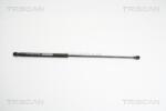 TRISCAN Amortizor portbagaj TRISCAN 8710 38220 (8710 38220) - fixbox