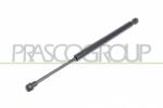 PRASCO Amortizor portbagaj PRASCO BM0189055 (BM0189055) - fixbox