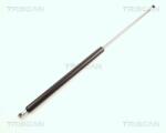 TRISCAN Amortizor portbagaj TRISCAN 8710 25223 (8710 25223) - fixbox