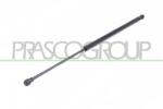 PRASCO Amortizor portbagaj PRASCO DS7109055 (DS7109055) - fixbox