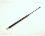 TRISCAN Amortizor portbagaj TRISCAN 8710 2914 (8710 2914) - fixbox