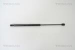 TRISCAN Amortizor portbagaj TRISCAN 8710 67209 (8710 67209) - fixbox