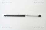 TRISCAN Amortizor portbagaj TRISCAN 8710 21205 (8710 21205) - fixbox