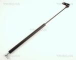 TRISCAN Amortizor portbagaj TRISCAN 8710 69203 (8710 69203) - fixbox
