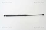 TRISCAN Amortizor portbagaj TRISCAN 8710 29258 (8710 29258) - fixbox
