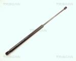 TRISCAN Amortizor portbagaj TRISCAN 8710 16222 (8710 16222) - fixbox