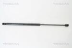 TRISCAN Amortizor portbagaj TRISCAN 8710 29270 (8710 29270) - fixbox
