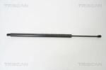 TRISCAN Amortizor portbagaj TRISCAN 8710 29263 (8710 29263) - fixbox