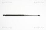 TRISCAN Amortizor portbagaj TRISCAN 8710 24230 (8710 24230) - fixbox