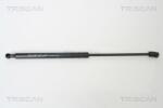 TRISCAN Amortizor portbagaj TRISCAN 8710 13267 (8710 13267) - fixbox