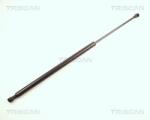 TRISCAN Amortizor portbagaj TRISCAN 8710 28220 (8710 28220) - fixbox