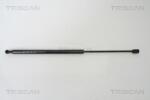 TRISCAN Amortizor portbagaj TRISCAN 8710 43217 (8710 43217) - fixbox