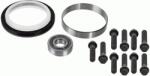 SACHS Set reparatie, volanta SACHS 3423 601 004 (3423 601 004)