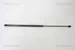 TRISCAN Amortizor portbagaj TRISCAN 8710 23211 (8710 23211) - fixbox