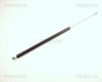 TRISCAN Amortizor portbagaj TRISCAN 8710 24209 (8710 24209) - fixbox