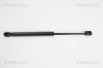 TRISCAN Amortizor portbagaj TRISCAN 8710 25237 (8710 25237) - fixbox