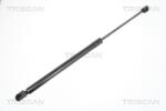TRISCAN Amortizor portbagaj TRISCAN 8710 29283 (8710 29283) - fixbox