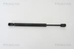 TRISCAN Amortizor portbagaj TRISCAN 8710 29260 (8710 29260) - fixbox