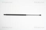 TRISCAN Amortizor portbagaj TRISCAN 8710 14244 (8710 14244) - fixbox